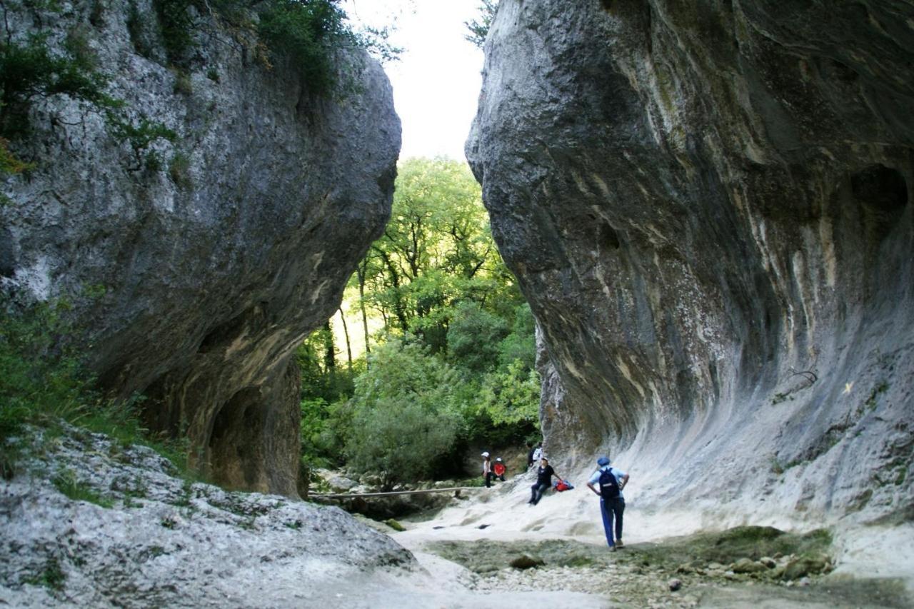 Gite Des Oliviers La Roque-sur-Cèze Eksteriør billede
